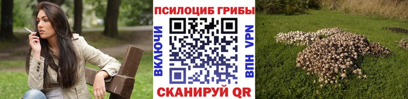 Псилоцибиновые грибы Magic Shrooms  Усть-Илимск 