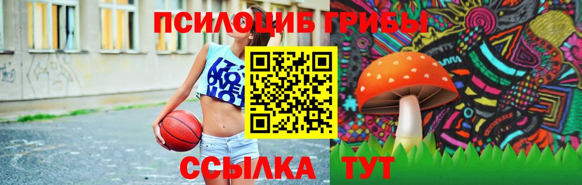 Псилоцибиновые грибы мухоморы Усть-Илимск